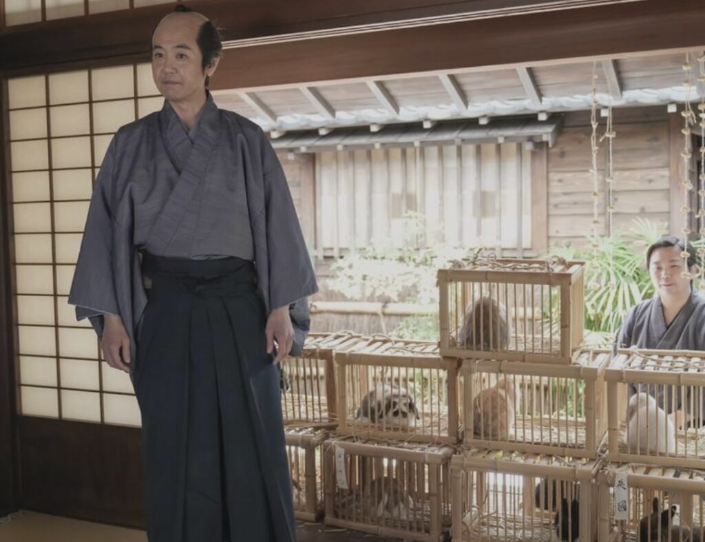 ばけばけ
ブシムスメ、ウラメシ
高石あかり
